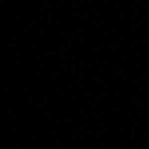 Meet your Posher, Joi